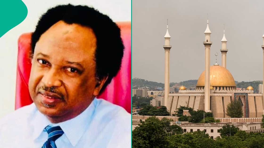 Shehu Sani's portrait and the centra mosque of Abuja