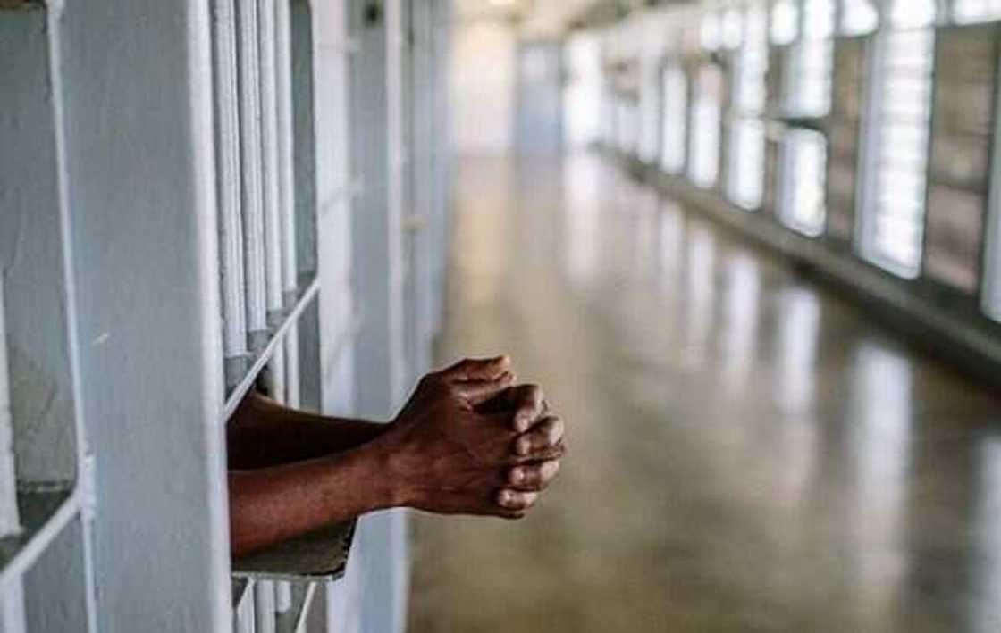 Nigerian prisons service ranks Nigerian prisons service ranks
