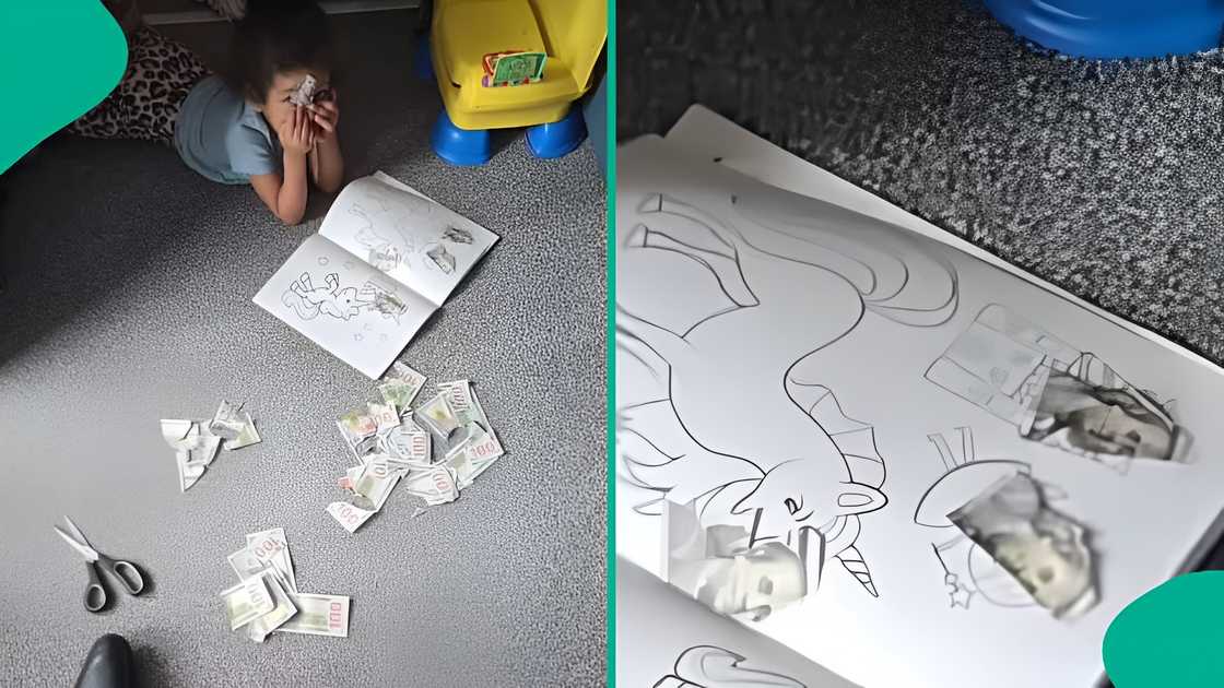 Father shares shocking reaction after daughter cuts up 100-dollar notes Father shares shocking reaction after daughter cuts up 100-dollar notes