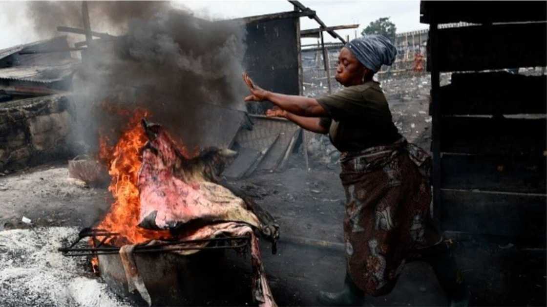 Ponmo/Cow Skin/Nigeria Ponmo/Cow Skin/Nigeria