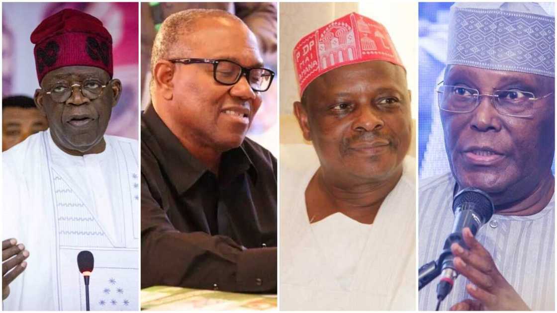 Atiku Abubakar, Bola Tinubu, Peter Obi, Rabiu Kwankwaso, PDP, Labour Party, APC, NNPP