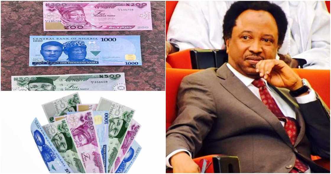 Senator Shehu Sani, CBN, Naira scarcity, new naira notes, POS agents, ATM Senator Shehu Sani, CBN, Naira scarcity, new naira notes, POS agents, ATM