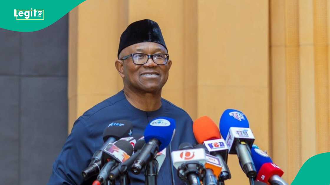 Lere Olayinka drags Peter Obi over wife's Hermes bag, fans reac