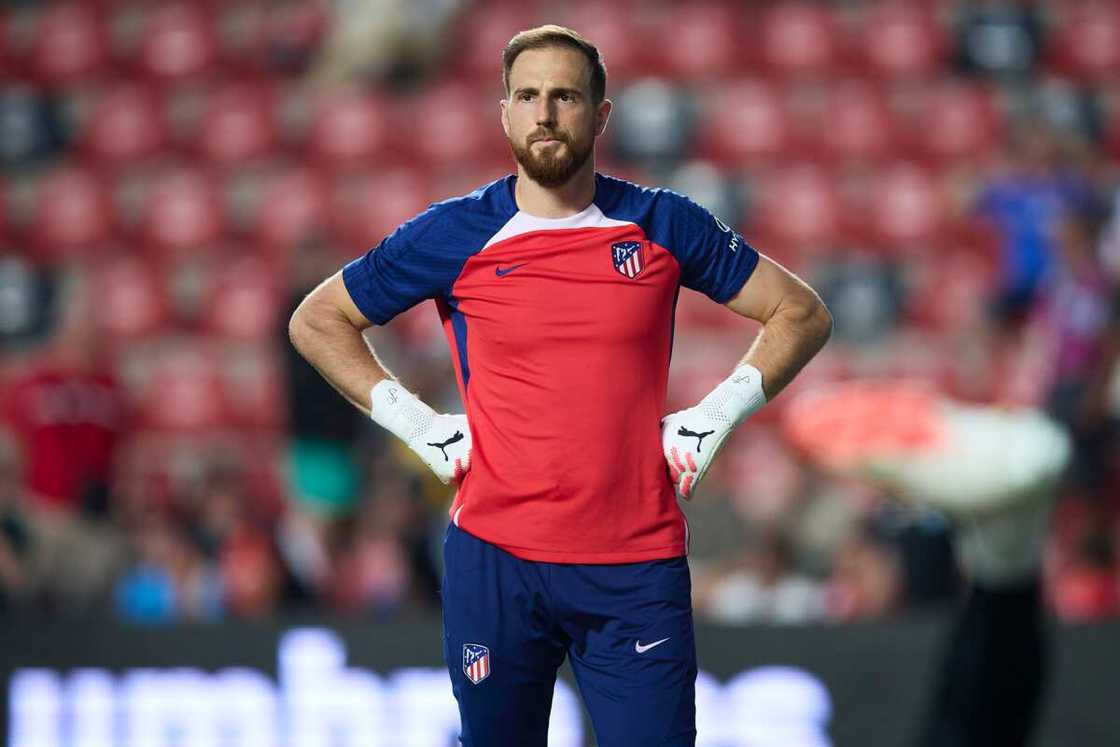 the best goalkeeper in the world the best goalkeeper in the world
