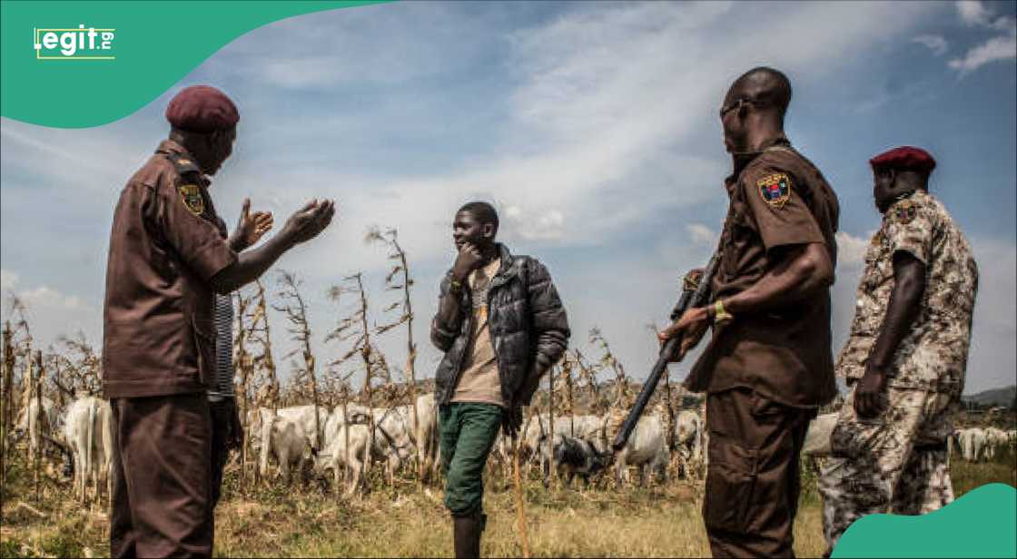 An kashe 'yan banga 16 a fafattawar da aka yi a Filato An kashe 'yan banga 16 a fafattawar da aka yi a Filato