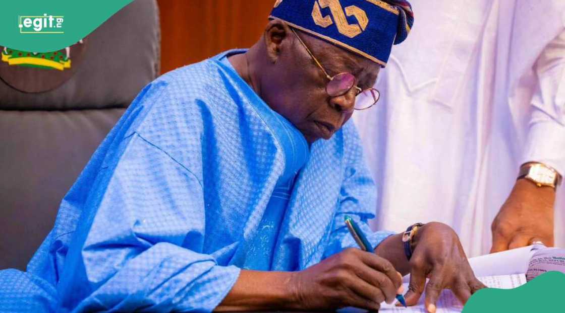 Tinubu, FERMA Tinubu, FERMA