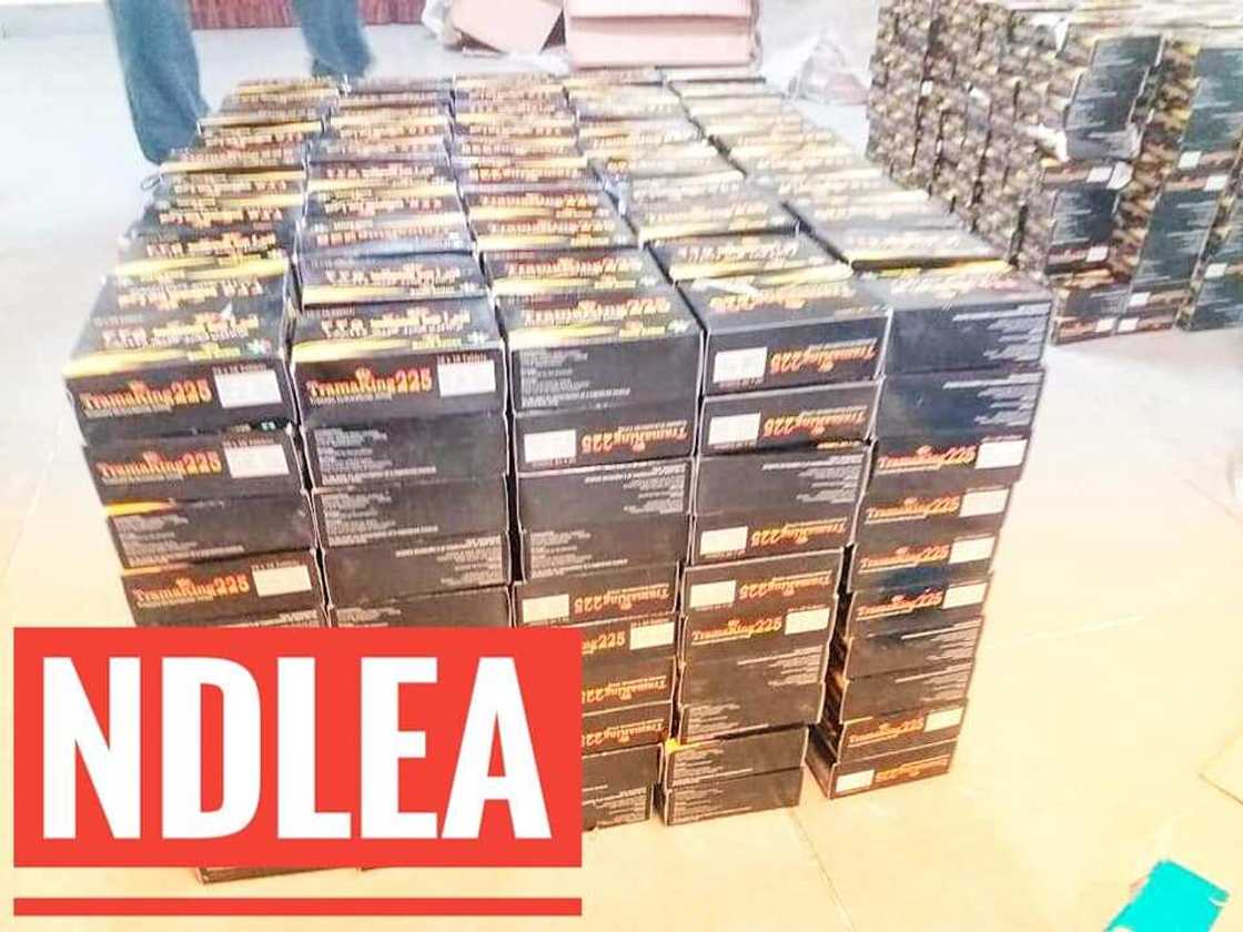 NDLEA ta kwace kwayoyin Tramadol 649,300 a filin jirgin sama na Legas