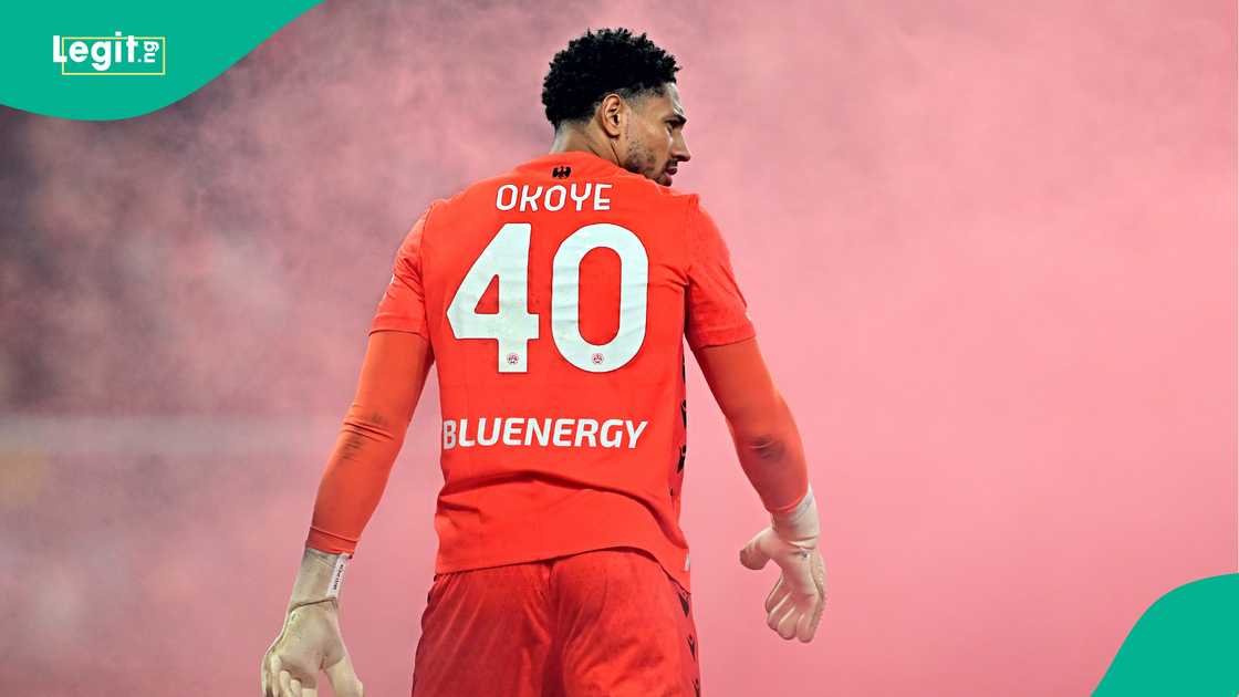 Maduka Okoye, Super Eagles, Nigeria, AFCON 2025, Morocco.