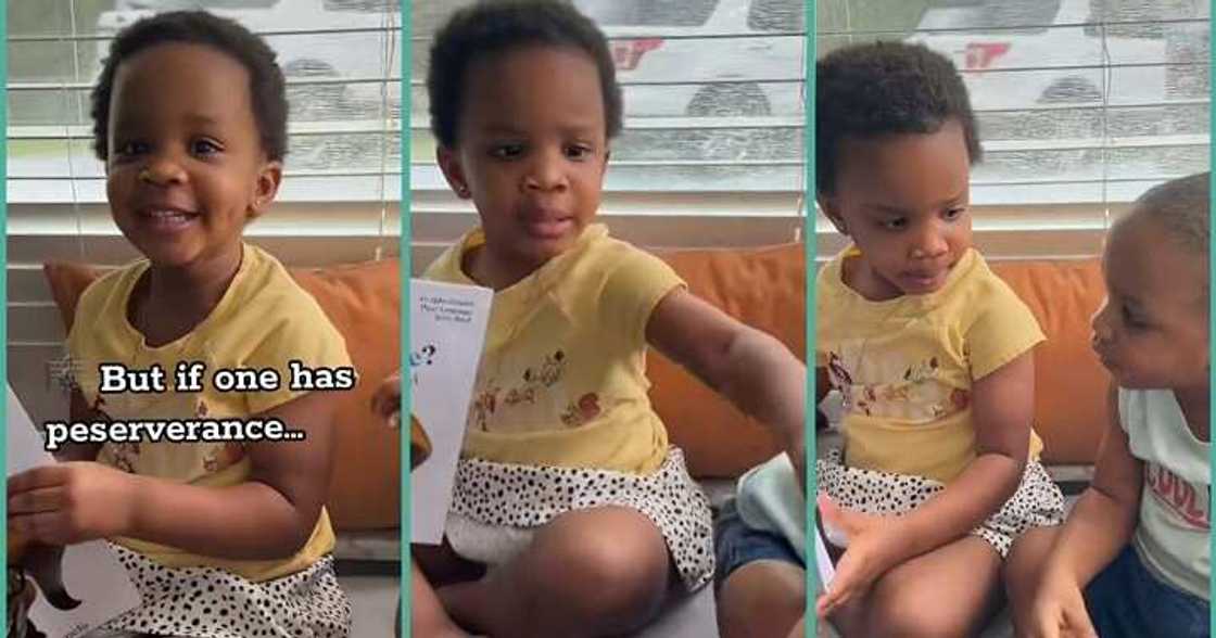 Little girl in America speaks Igbo language fluently