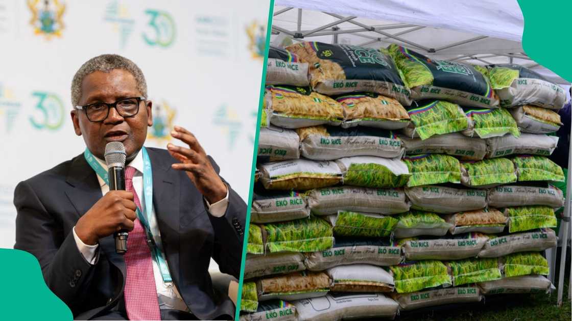 Dangote Foundation set to share 1 million bags of rice to Nigerians, launches N16 billion food aid Dangote Foundation set to share 1 million bags of rice to Nigerians, launches N16 billion food aid