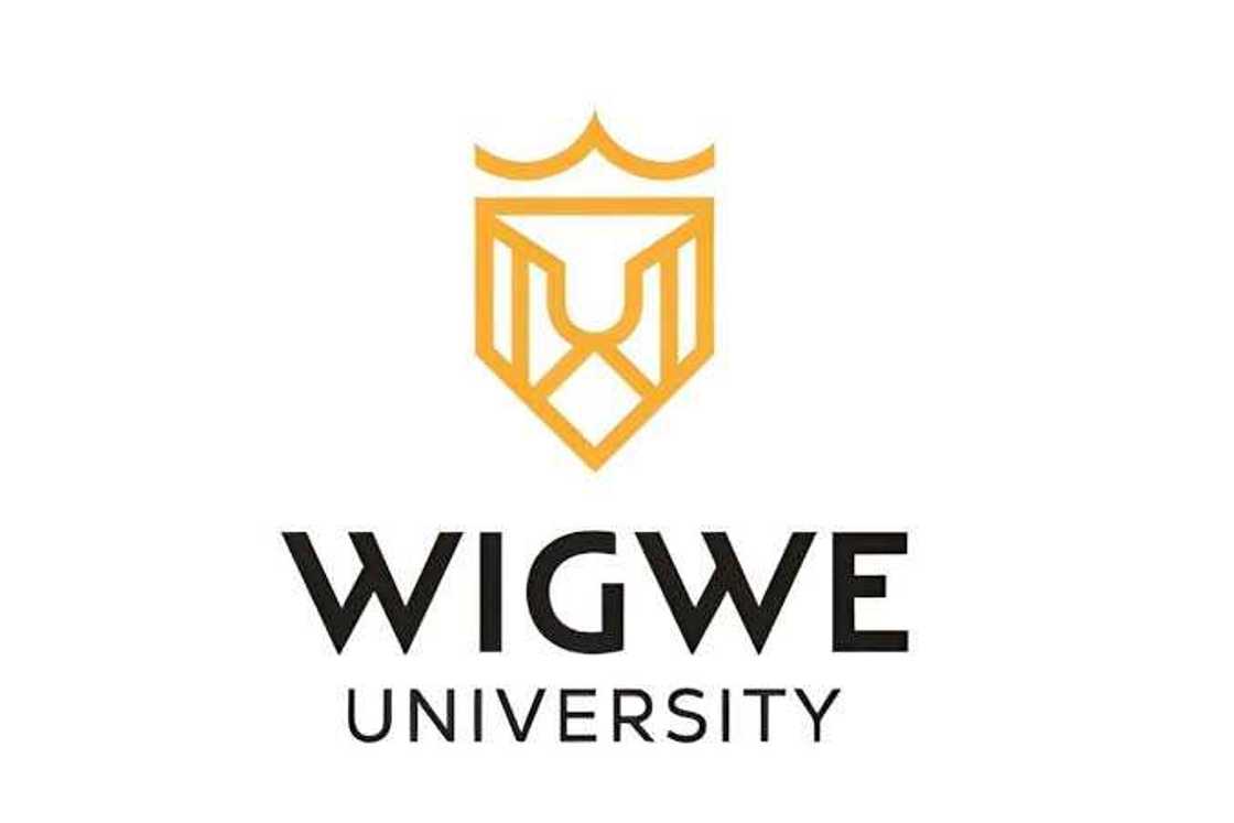 Wigwe University Debunks Issuing Admission Offers for the 2023/2024 Academic Session Wigwe University Debunks Issuing Admission Offers for the 2023/2024 Academic Session