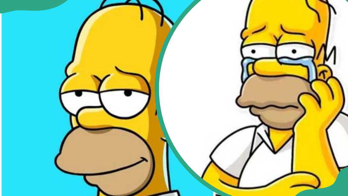 Homer J Simpson from The Simpsons Homer J Simpson from The Simpsons