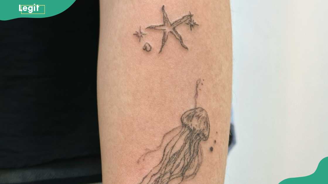 Jellyfish and starfish tattoo