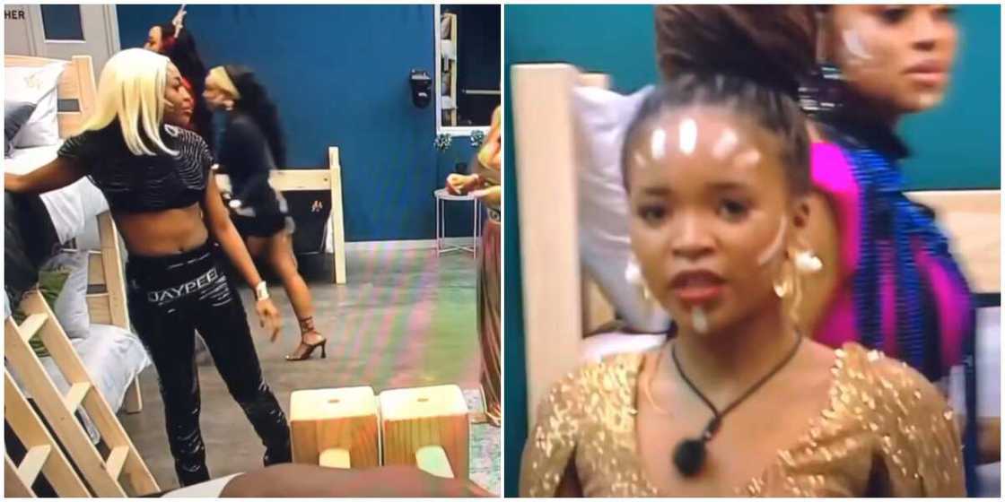 Big Brother Titans Big Brother Titans