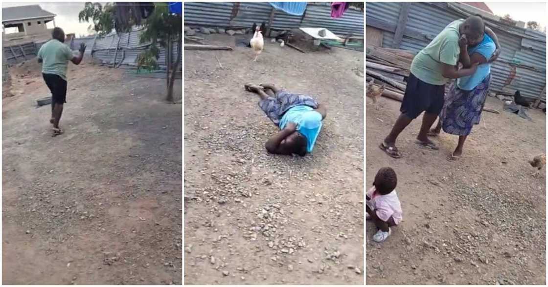 Couple, ground, play-fight, wrestle Couple, ground, play-fight, wrestle