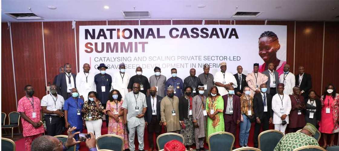 Cassava Summit Cassava Summit
