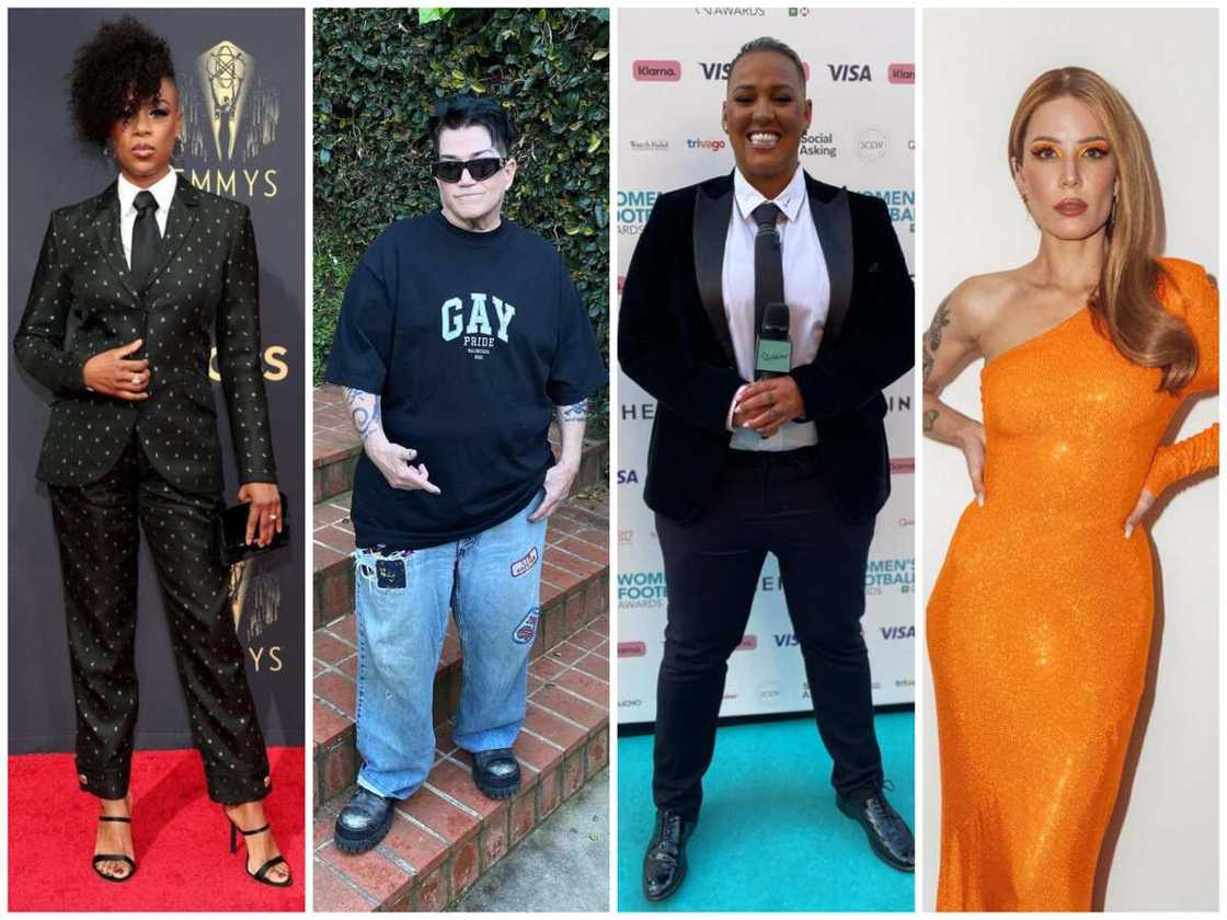 gay female celebrities gay female celebrities