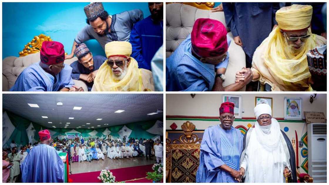 2023 election, Bola Tinubu, Governor Abdulrahman Abdulrasak, Kwara state, Benue APC delegates