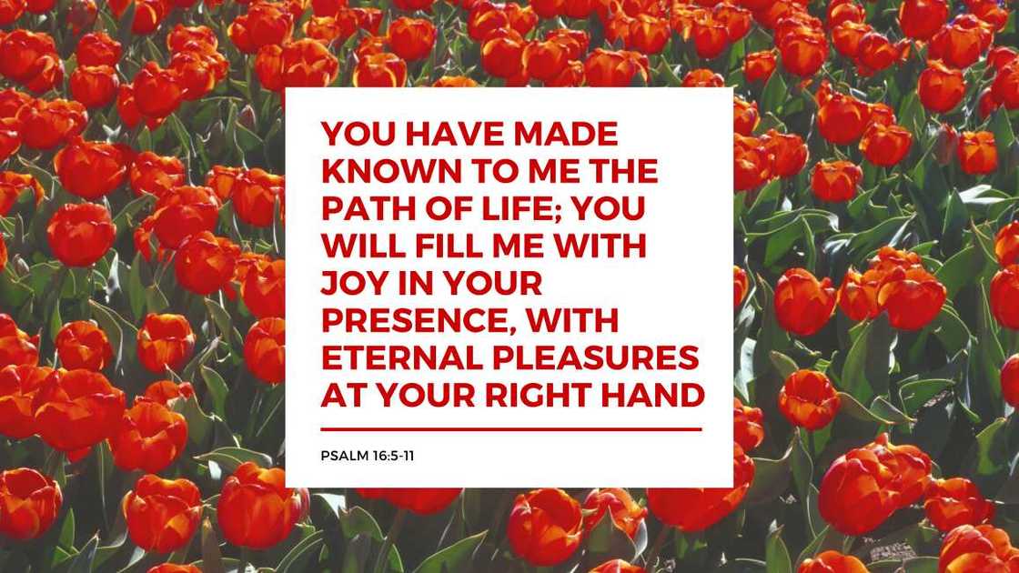 Exam wishes and prayers Exam wishes and prayers