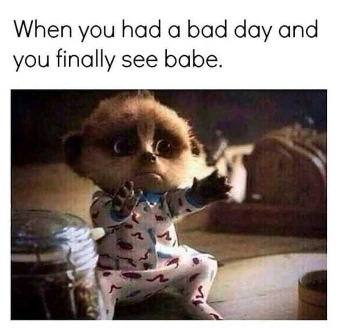 cute love memes cute love memes