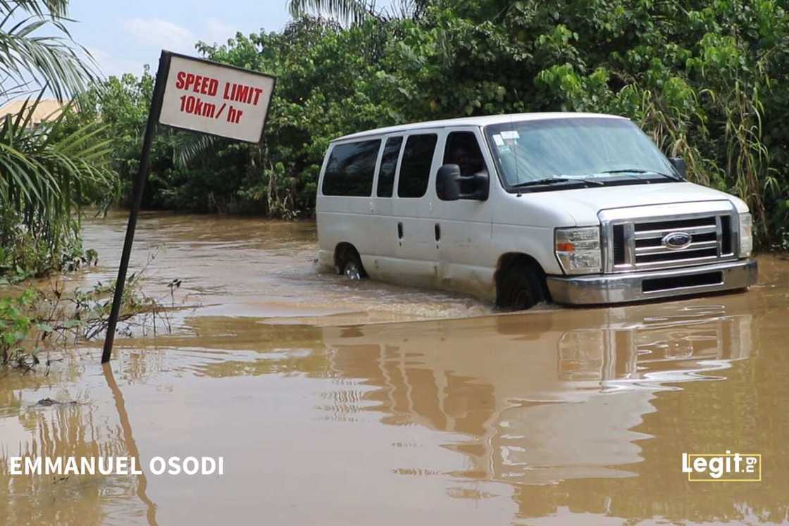 Crocodiles, wild animals invade Ogun community Crocodiles, wild animals invade Ogun community