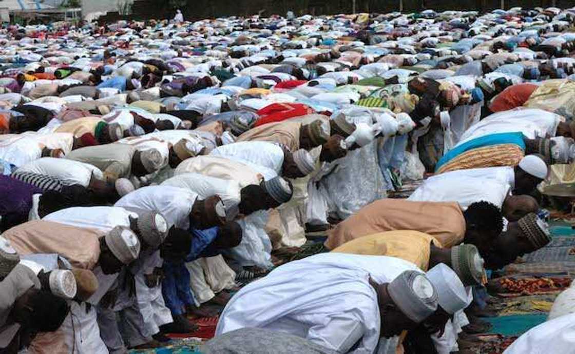 Praying muslims