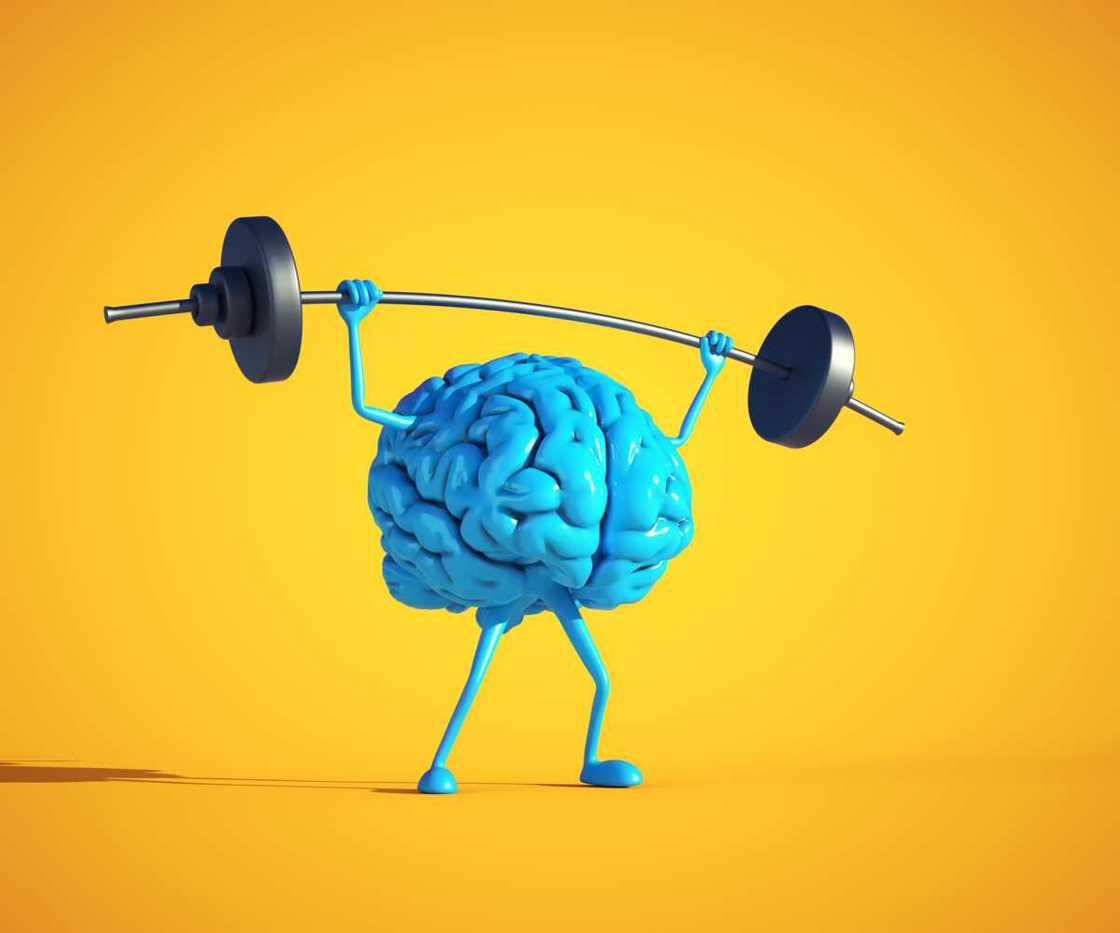 Testez vos compétences avec ces charades qui vont vous faire travailler les méninges Testez vos compétences avec ces charades qui vont vous faire travailler les méninges