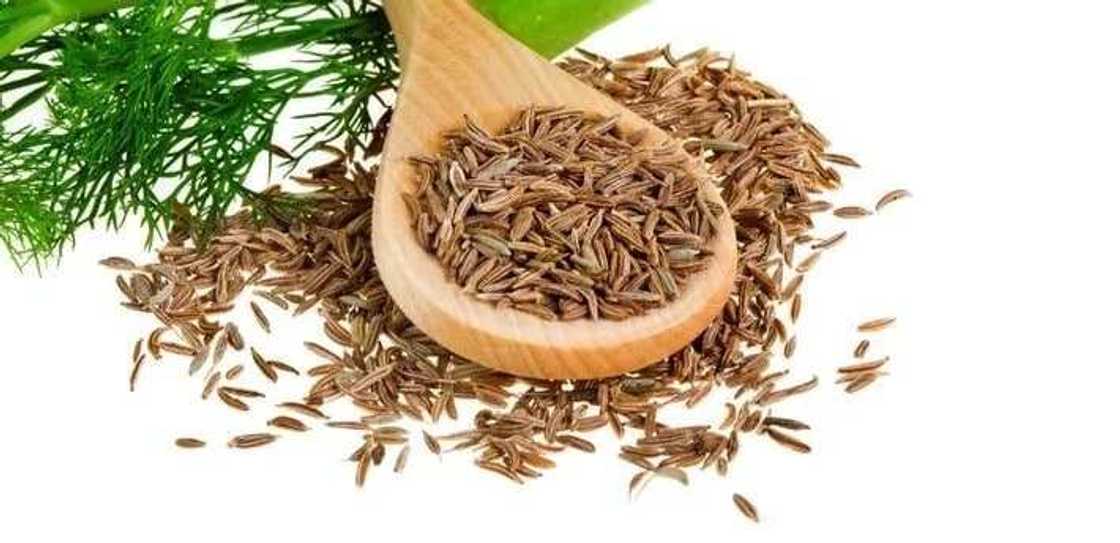 Dill water for newborns: recipe Dill water for newborns: recipe