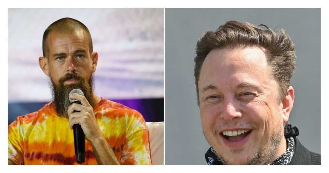 Elon Musk, Jack Dorsey, Twitter, Poison Pill Elon Musk, Jack Dorsey, Twitter, Poison Pill