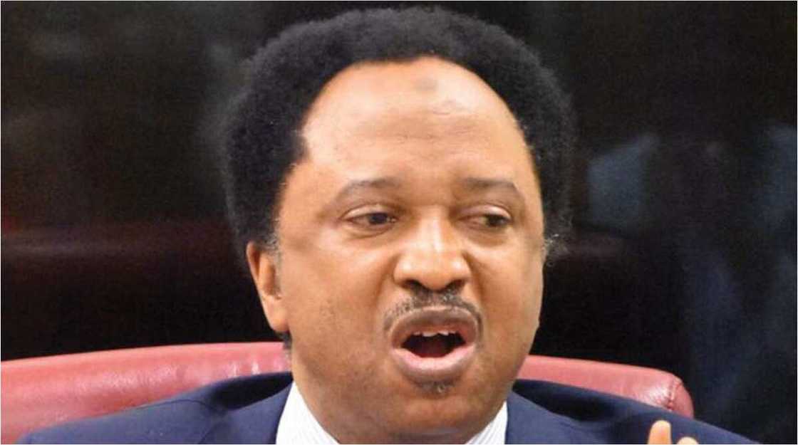 Shehu Sani