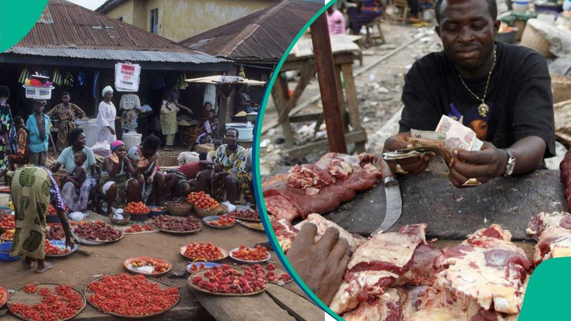 The average Cost of a Healthy Diet (CoHD) in Nigeria increased to N1,611 per adult per day in July 2025, according to a recent report by the National Bureau of Statistics (NBS). The average Cost of a Healthy Diet (CoHD) in Nigeria increased to N1,611 per adult per day in July 2025, according to a recent report by the National Bureau of Statistics (NBS).