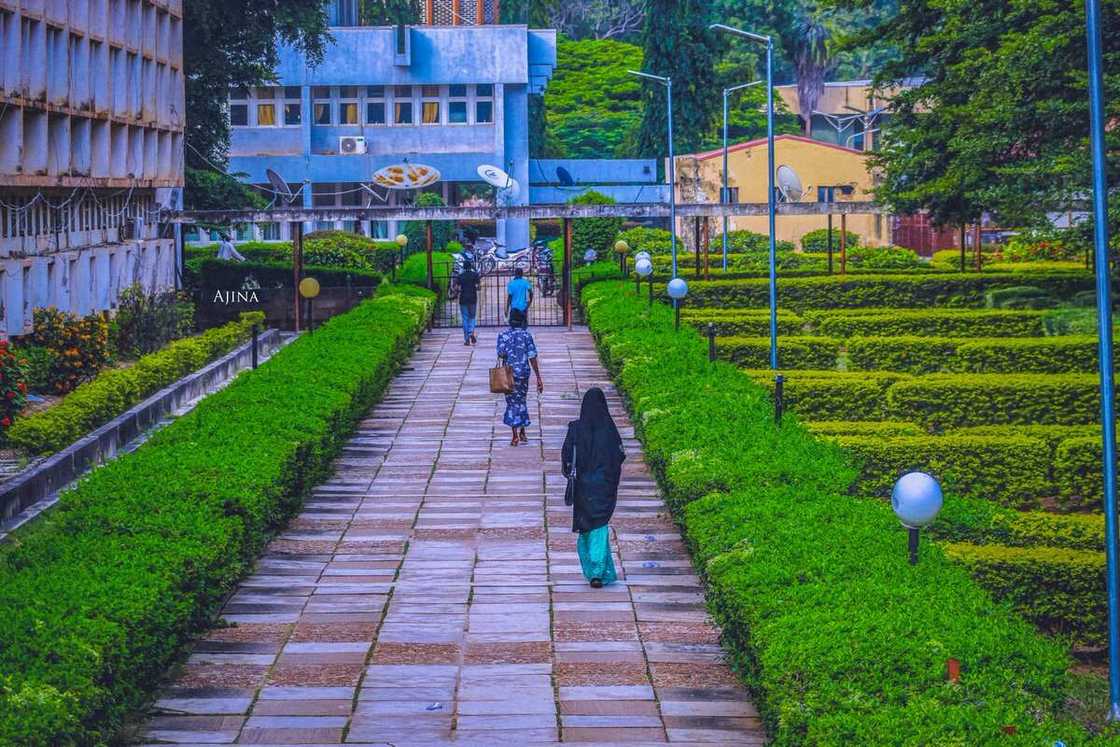 Jami'ar ABU Zaria Jami'ar ABU Zaria