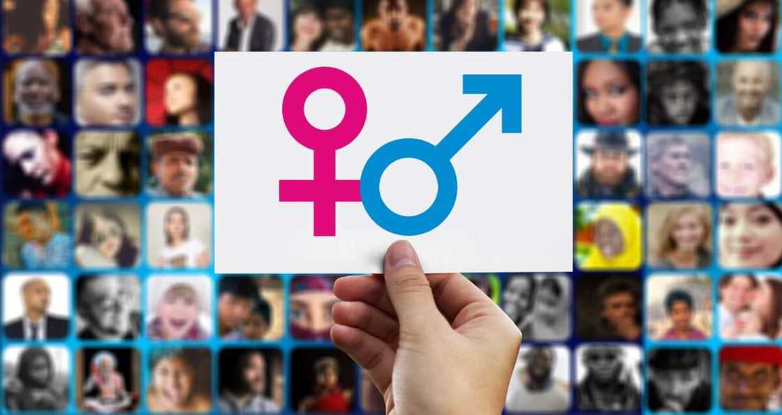 what are the signs for male and female? what are the signs for male and female?