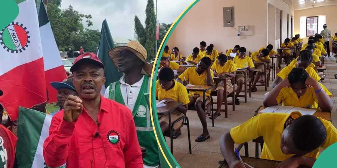 WAEC reacts, sends message to schools amid labour threat WAEC reacts, sends message to schools amid labour threat