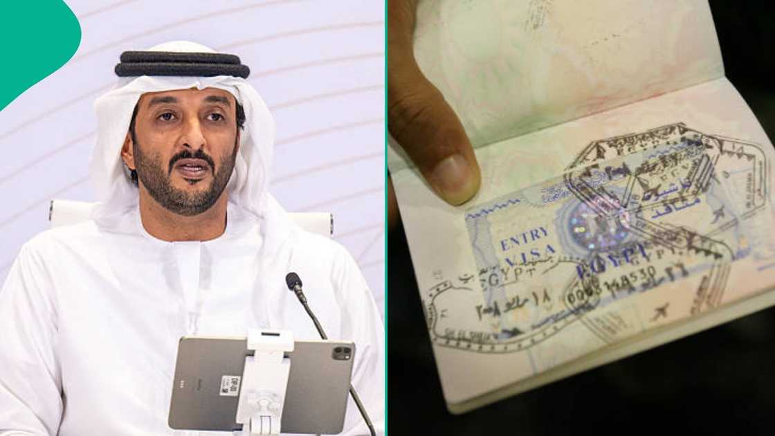 The UAE government shares costs of visa fees for foreigners The UAE government shares costs of visa fees for foreigners