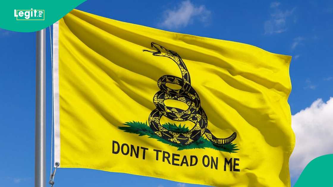 The Bennington Flag showcases historic pride with its unique star arrangement.