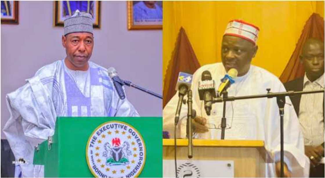 Zulum, Kwankwaso Zulum, Kwankwaso