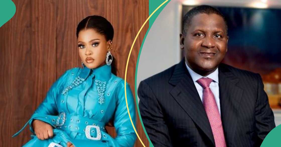 BBNaija Phyna accuses Dangote of shocking involvement in sister’s death BBNaija Phyna accuses Dangote of shocking involvement in sister’s death