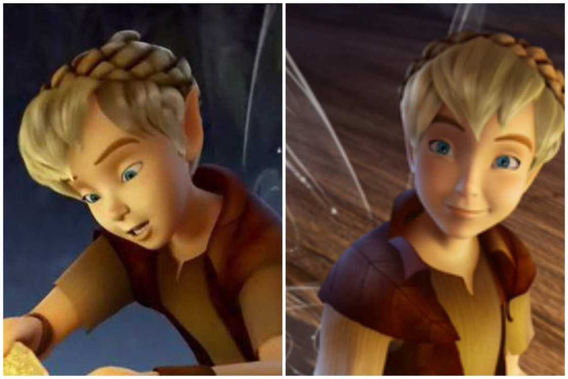 all the Tinker Bell fairies all the Tinker Bell fairies