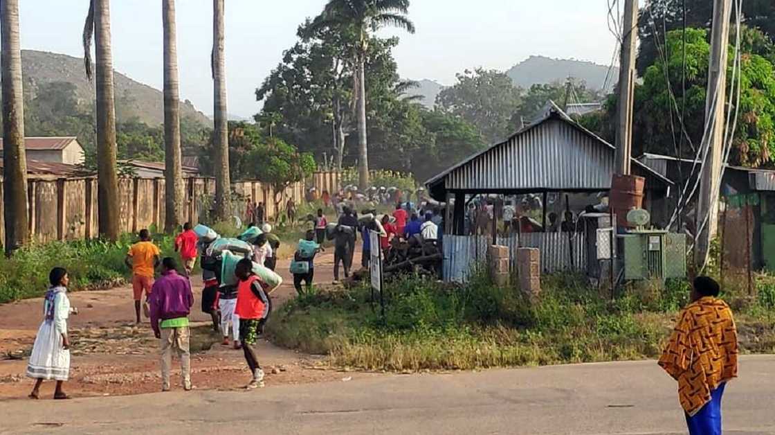 Sabuwar cuta ta barke a Filato sakamakon cin wawason tallafin korona