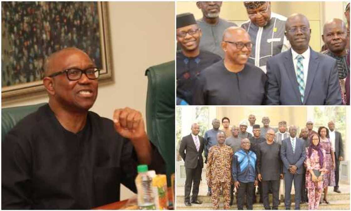 Obi, ThisDay Obi, ThisDay