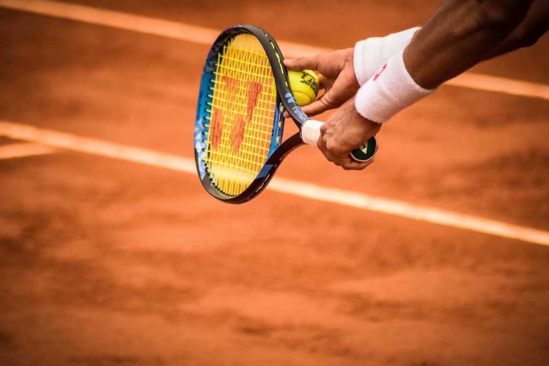 Wasan kwallon tennis. Wasan kwallon tennis.
