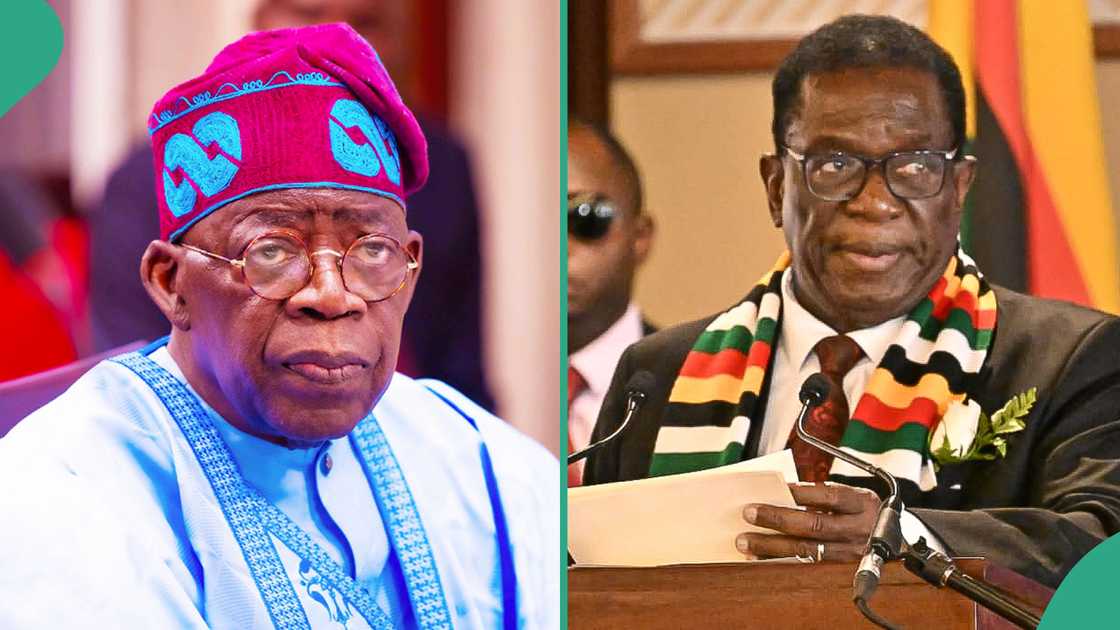 President Bola Tinubu and President of Zimbabwe are African presidents who did not attend the UNGA session in New York President Bola Tinubu and President of Zimbabwe are African presidents who did not attend the UNGA session in New York