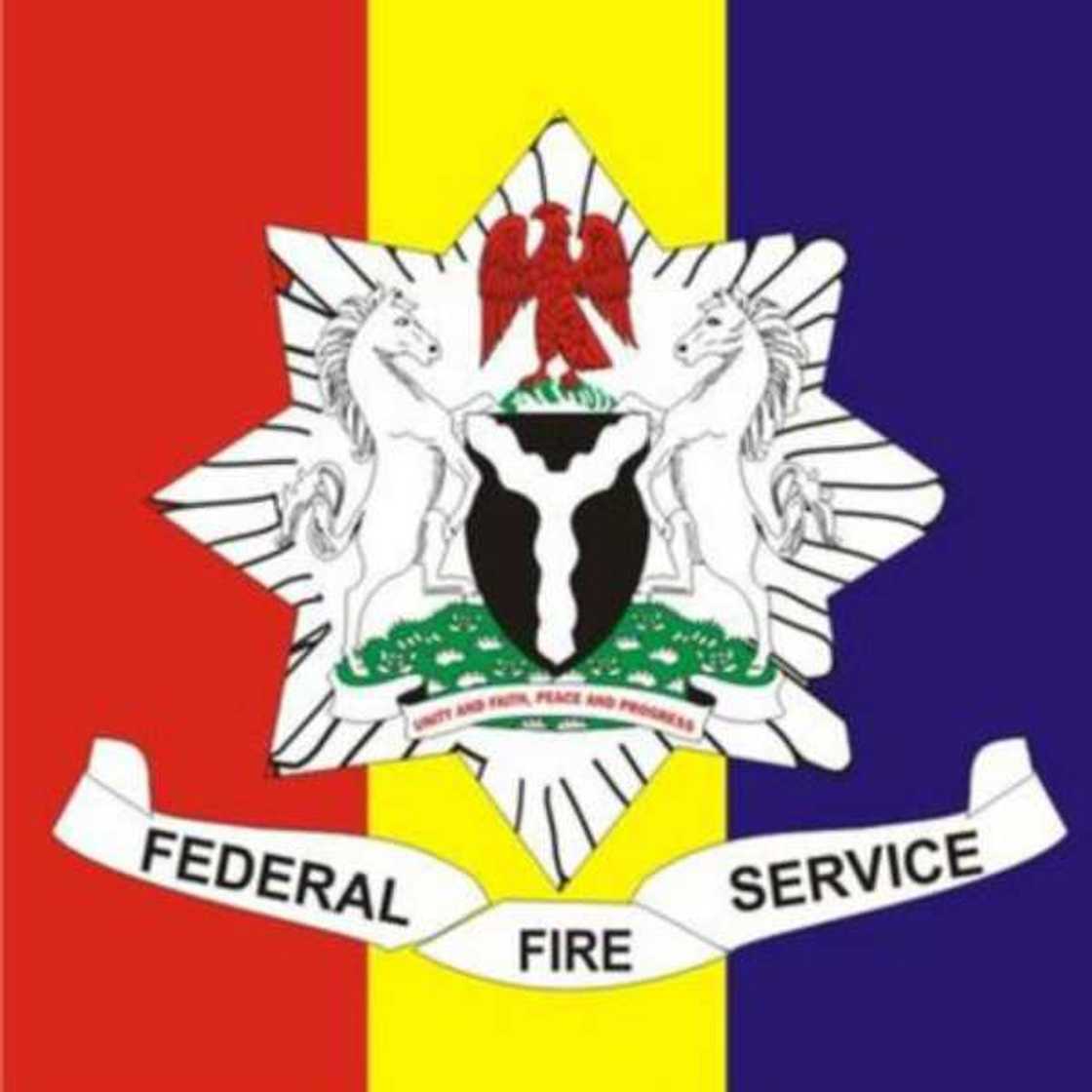 Federal fire service logo Federal fire service logo