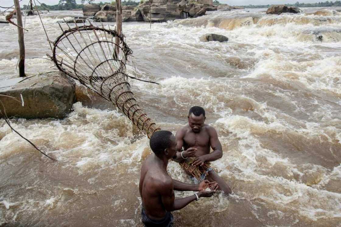 Fishing with a traditional net at the Wagenya falls Fishing with a traditional net at the Wagenya falls