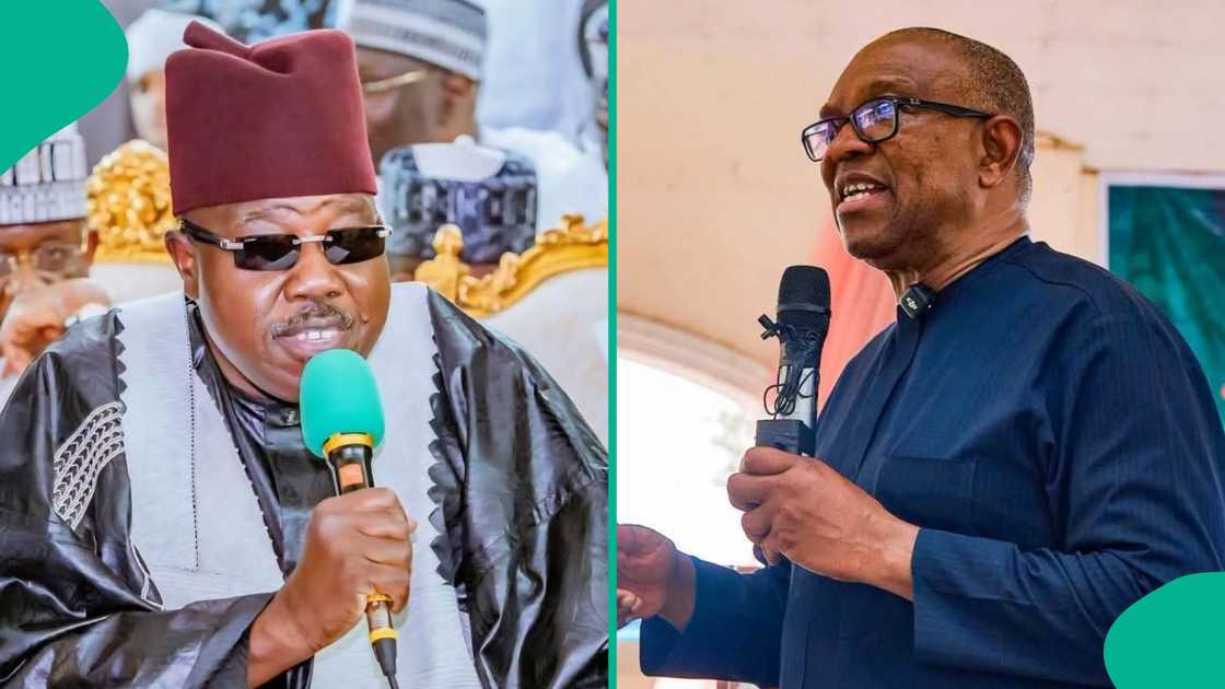 Ali Modu Sheriff ya soki Peter Obi