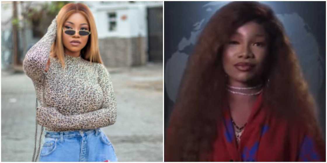 Tacha blasts contestant on reality show