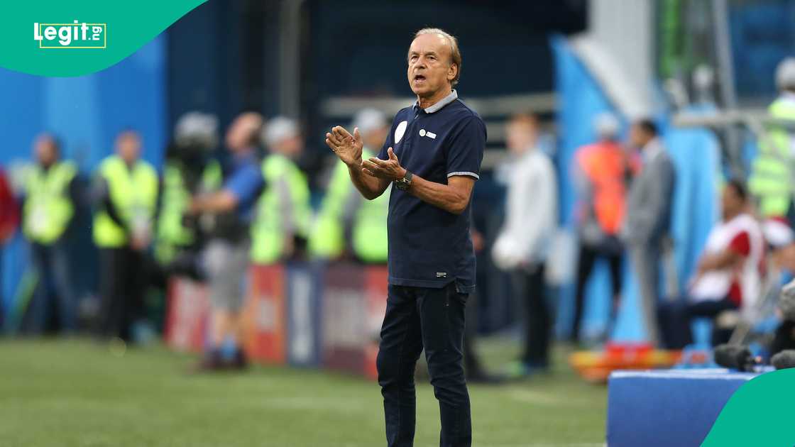 Gernot Rohr, Benin, Super Eagles, South Africa, Cheetahs, World Cup