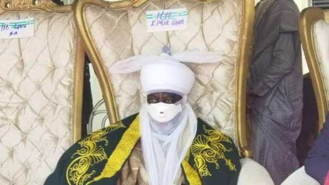 Hotunan bikin mika wa sarkin Bichi, Alhaji Nasiru Ado Bayero sandar girma