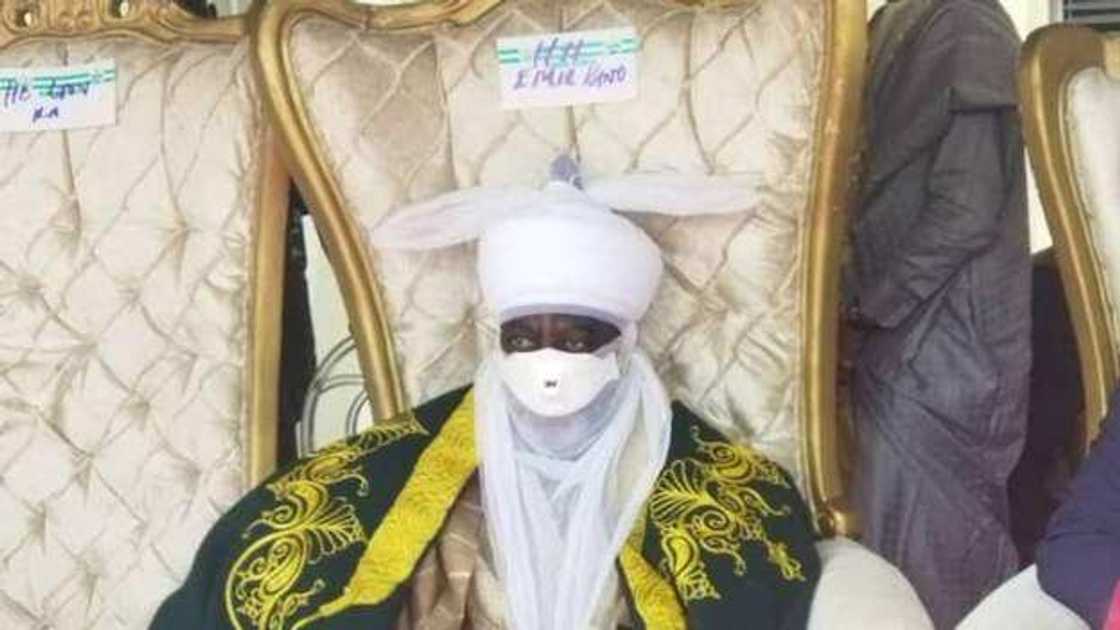 Hotunan bikin mika wa sarkin Bichi, Alhaji Nasiru Ado Bayero sandar girma Hotunan bikin mika wa sarkin Bichi, Alhaji Nasiru Ado Bayero sandar girma